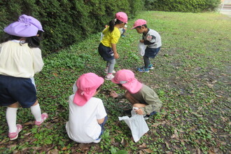 公園で木の実や落ち葉を拾う子ども達