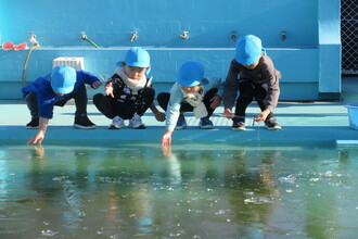 氷が張ったプールの様子をみる年中組の子どもたち