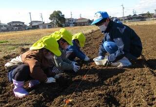 お兄さんに教えてもらいながら植えています