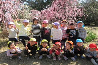 梅の花をバックに集合する園児たち