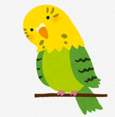 イラスト：インコ