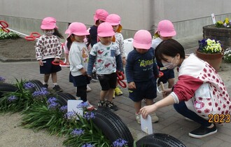 もも組さんきれいな紫の花を見つけました