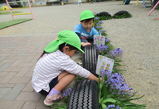 花の名前の看板を作りました。