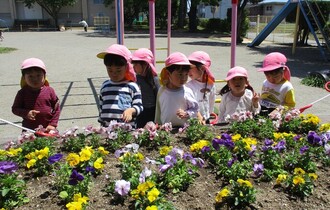 花壇の花を見ています