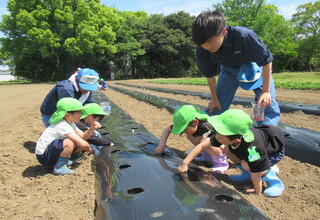 子どもたちは種を蒔き、学生さんは見守ってくれています