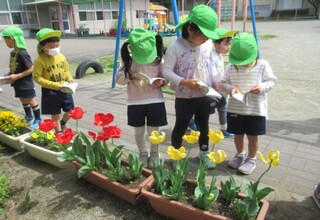 みどり組さん図鑑を見て春の草花の名前を調べています