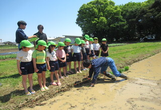 高校生が植える見本を見せてくれています