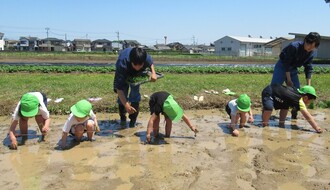 苗を植えることに夢中になっている子どもたち