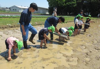 夢中になって取り組む子どもたち