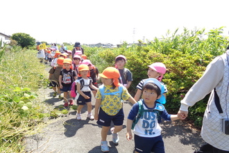 遠足で堤防の道を歩いている園児