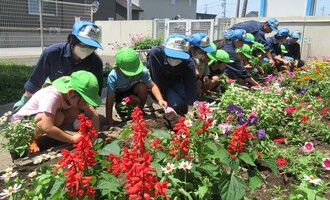 学生さんに教えてもらって穴をしっかり掘っています