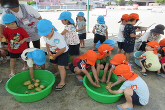 ジャガイモを洗う年中組の子ども達