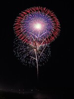 写真：打上花火の部　優勝　茨城県　野村花火工業株式会社　野村　陽一　様