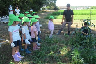 とうもろこしの収穫の仕方を高校生が子どもたちに説明しています