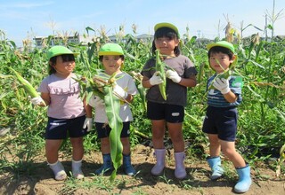 おいしそうなとうもろこしがたくさん収穫でき満足そうな子どもたち