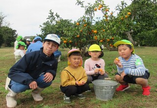 お兄さんが取ってくれたみかんを食べています