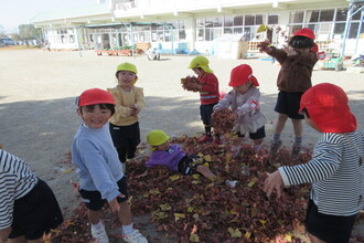 写真：落ち葉で遊んでいる年少児