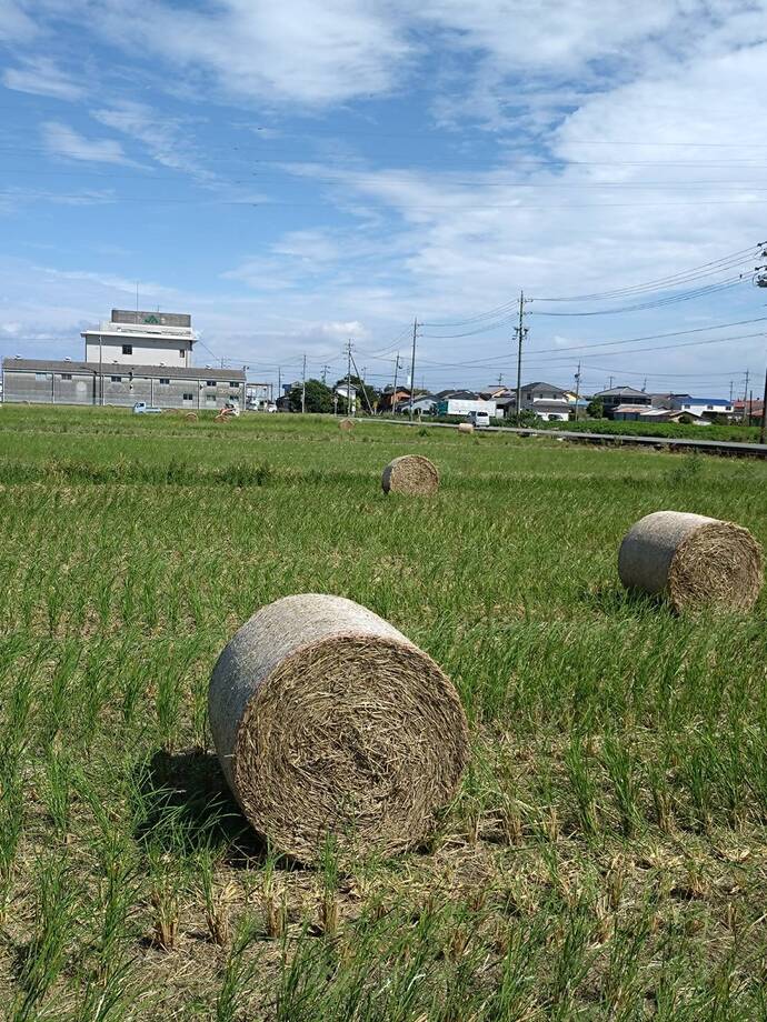 最優秀賞の写真