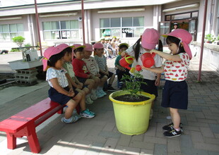 子どもたちが順番に水やりをしています