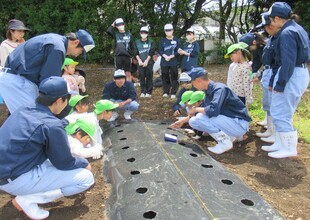 高校生が、とうもろこしの種の蒔き方を説明してくれています