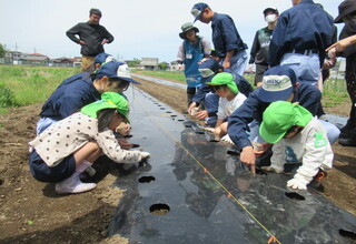 夢中になって種蒔きしています