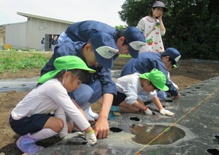 種蒔きに夢中のみどり組