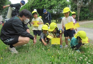 お兄さんお姉さんと草花探しをしているところ