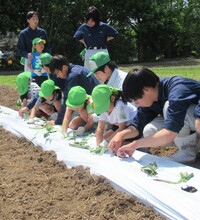 みどり組もお兄さんお姉さんとつる挿しをしているところ