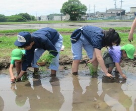 お姉さんが苗の植え方を優しく教えてくれています