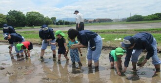 田植えに慣れ、ずいぶんと進んできました。