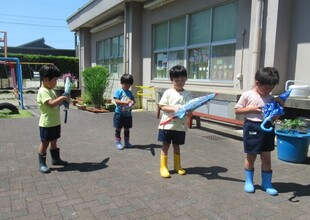 き組さん、傘を巻いて留めているところ
