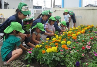 花の苗を植えることに夢中のこどもたち