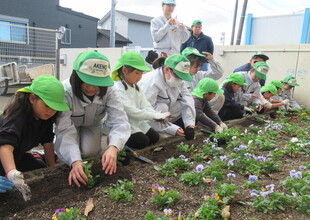 苗をそっと持って植えています