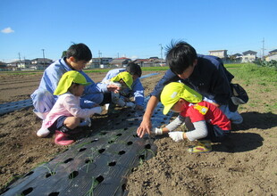 1本ずつ丁寧に植えている子どもたち