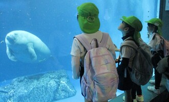 ジュゴンに見入っている子どもたち