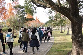2024お伊勢さんマラソン ウォークの部写真19