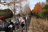 2024お伊勢さんマラソン ウォークの部写真25