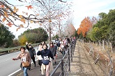 2024お伊勢さんマラソン ウォークの部写真26