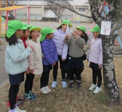 登園後、木に手紙のようなものがぶら下がっていることを見つけた子どもたち