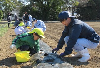 お兄さんと一緒に穴を掘っています