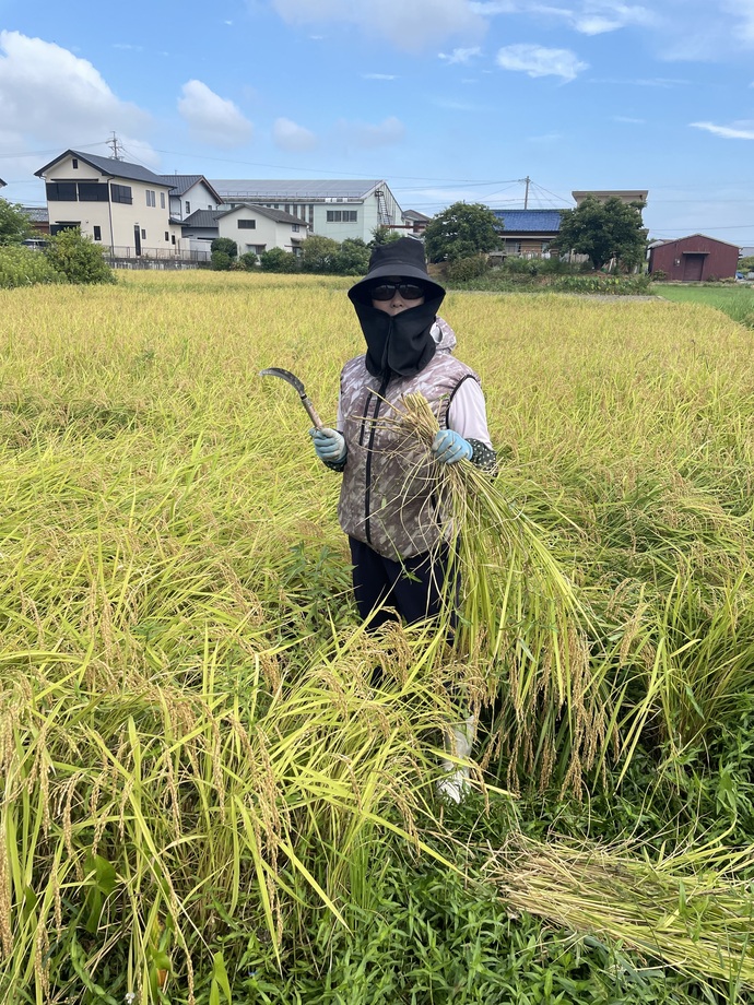 優秀賞の写真