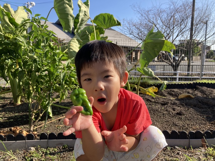 優秀賞の写真