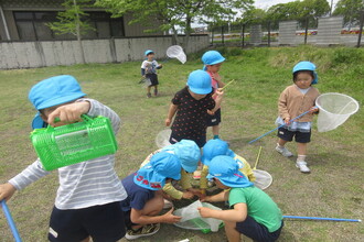 虫取りをする年中児
