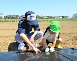 種を蒔いているところ