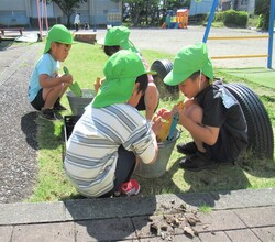 年長組が野菜の土づくりをしているところ