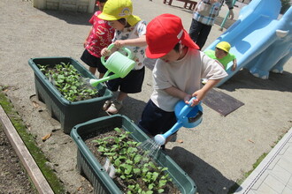 種を植える年少児