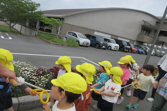 公園から帰る年少児