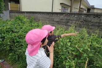 虫探しをする園児