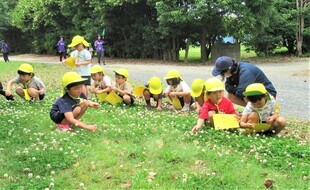 4歳児が草花を見つけているところ