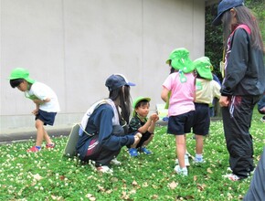5歳児が草花を探しているところ